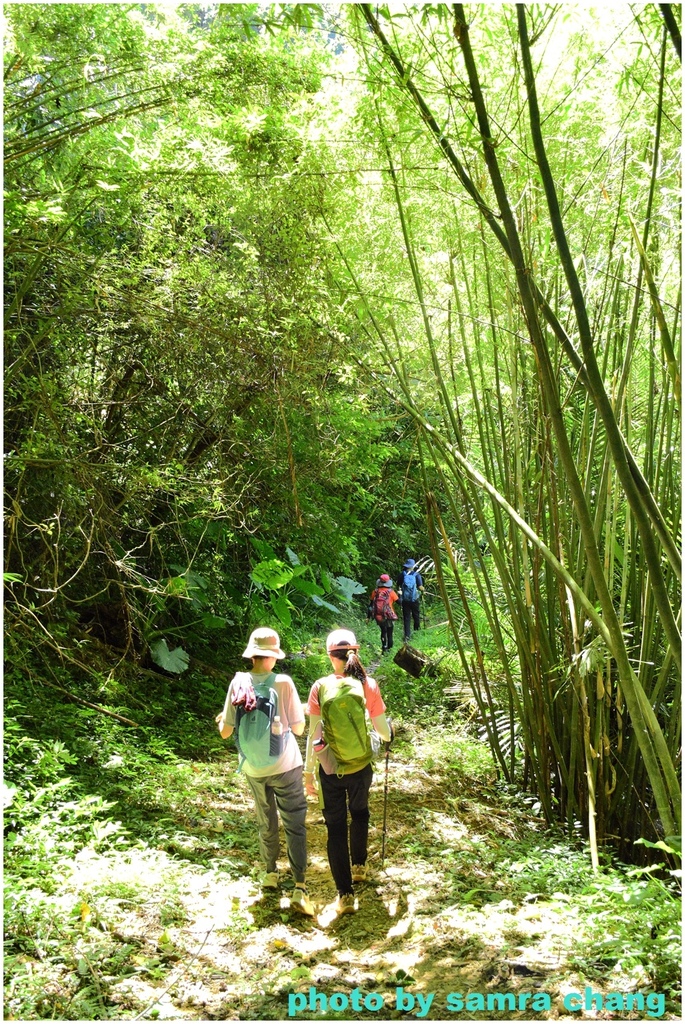 碧龍宮→牛灶坑山→百年大榕樹小O型20230923