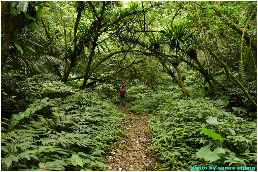 石門山北端登山口-石門山-小竹坑古道-漢威亭-石門山步道-北