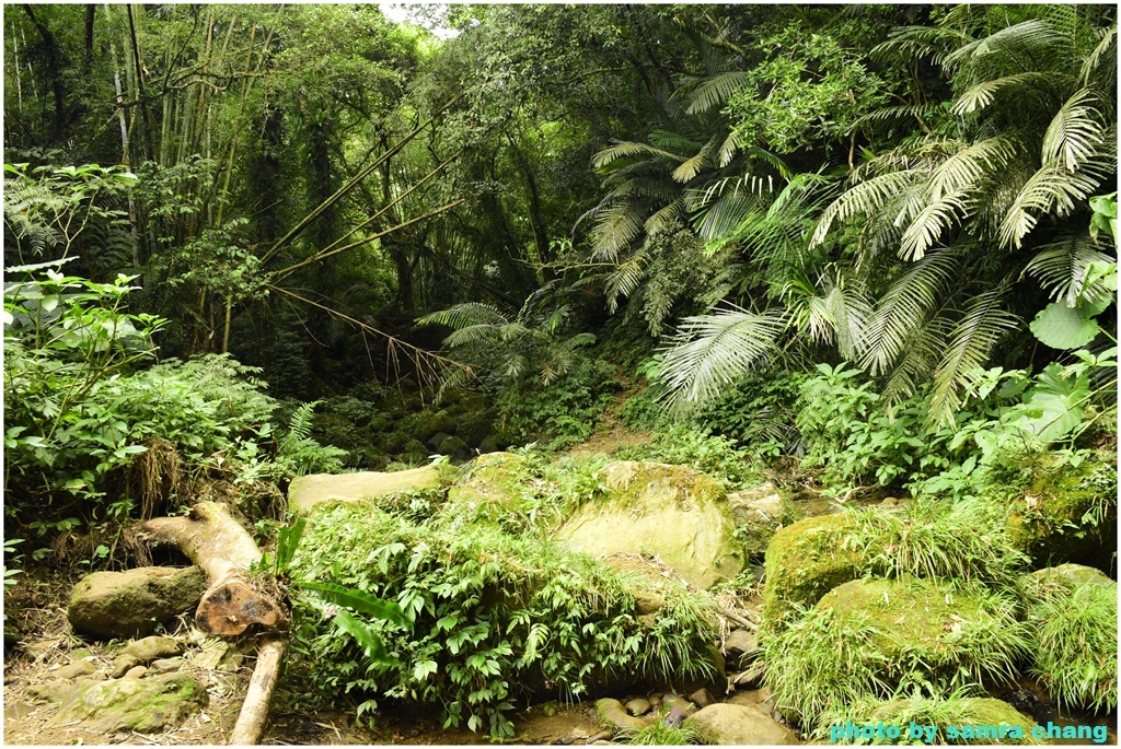 石門山北端登山口-石門山-小竹坑古道-漢威亭-石門山步道-北