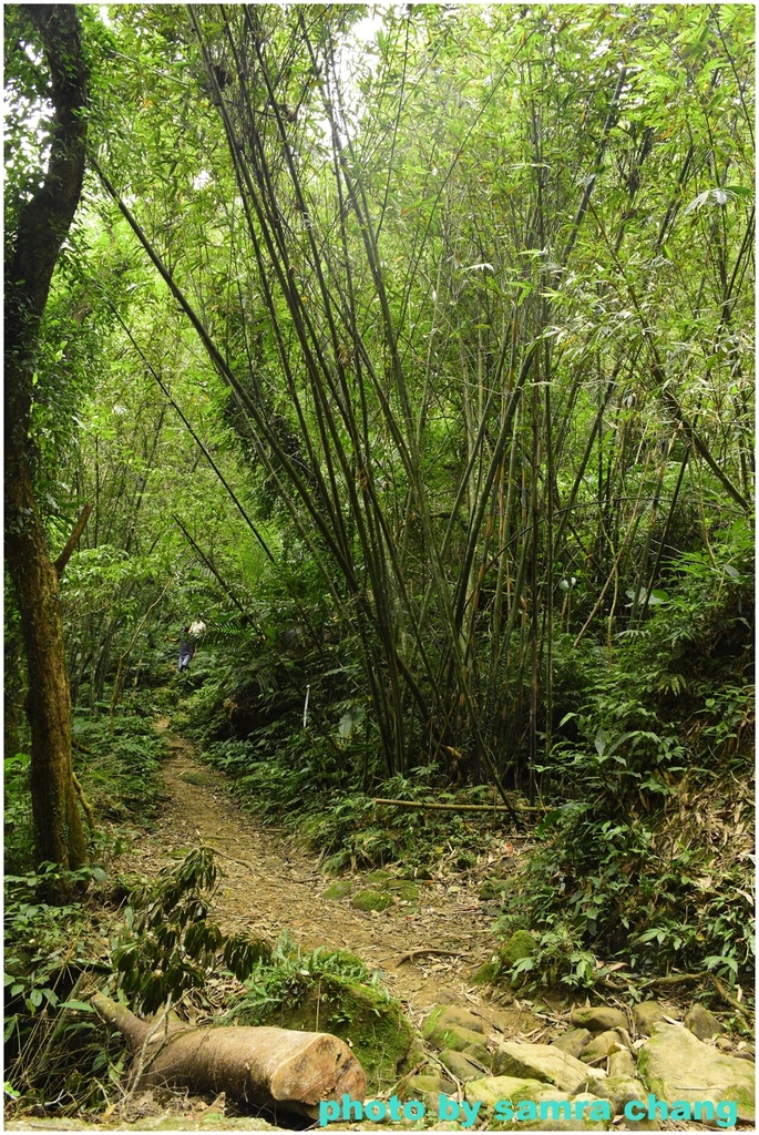 石門山北端登山口-石門山-小竹坑古道-漢威亭-石門山步道-北