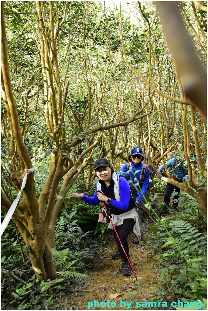 中庄調整池→大溪山豬湖→娘子坑山→大溪月眉濕地2023121