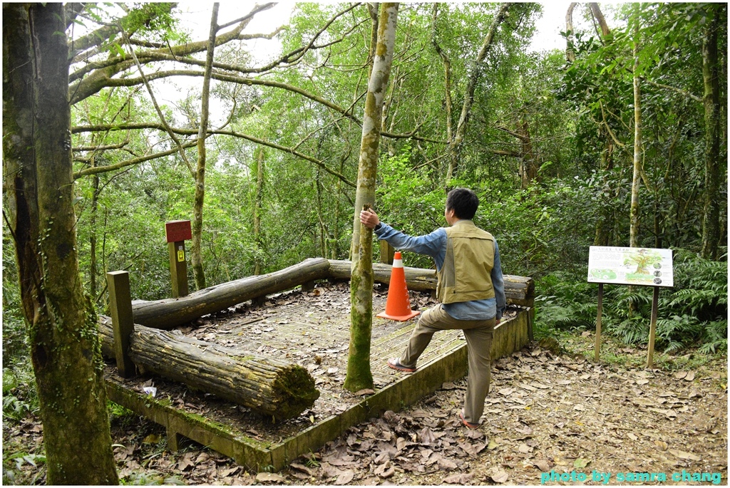 宜蘭拳頭姆山烏心石步道20240113