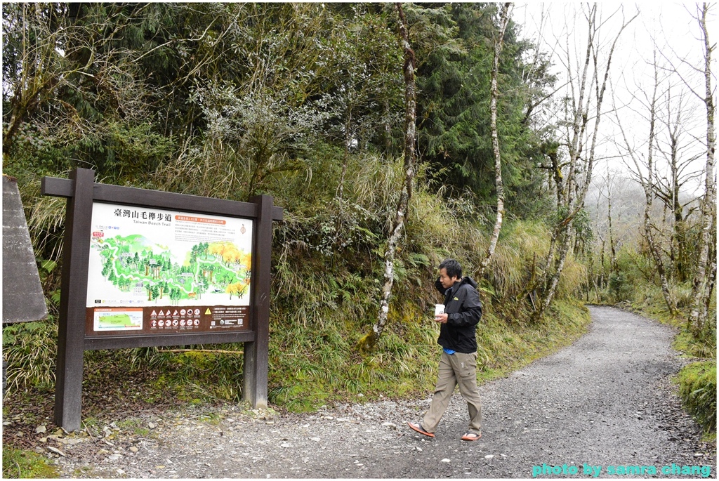 宜蘭拳頭姆山烏心石步道20240113