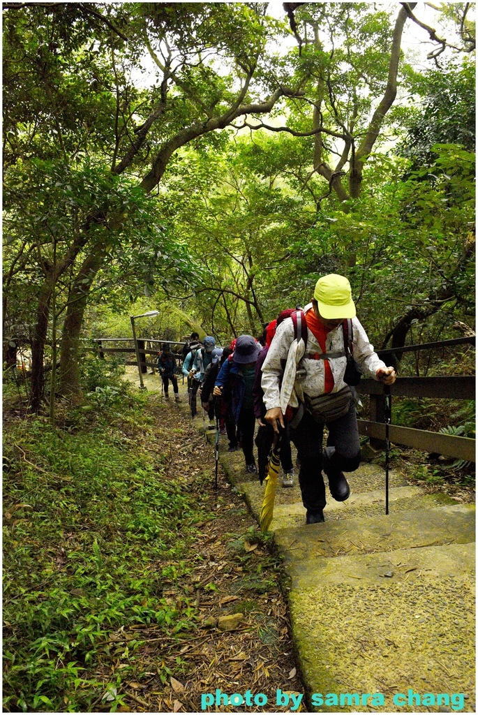 碧龍宮→鶯歌石步道→光明山稜線→忠義宮→光明山稜線→二坑步道