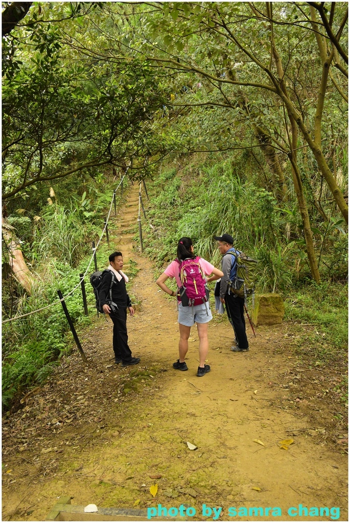 碧龍宮→鶯歌石步道→光明山稜線→忠義宮→光明山稜線→二坑步道