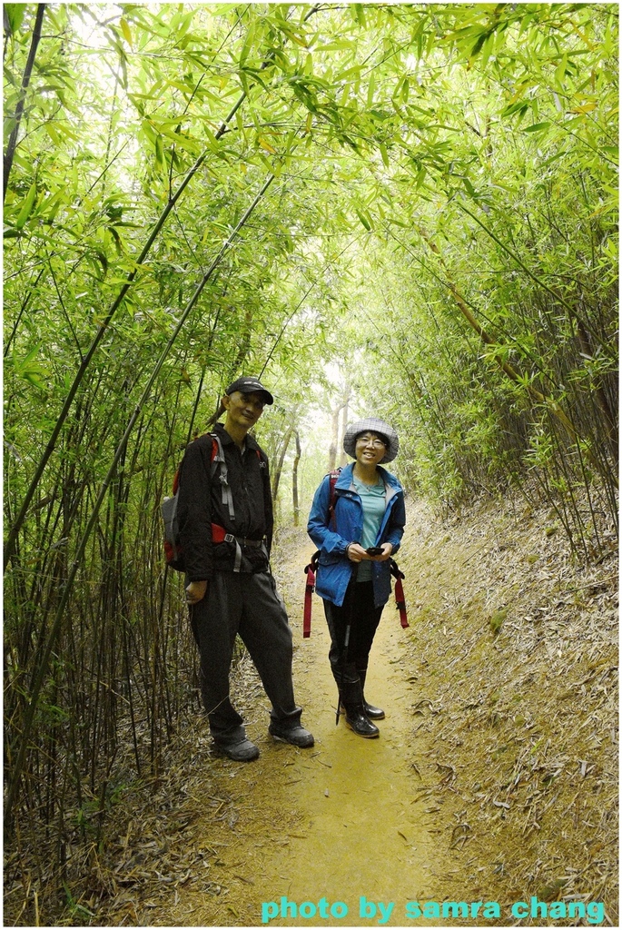 碧龍宮→鶯歌石步道→光明山稜線→忠義宮→光明山稜線→二坑步道