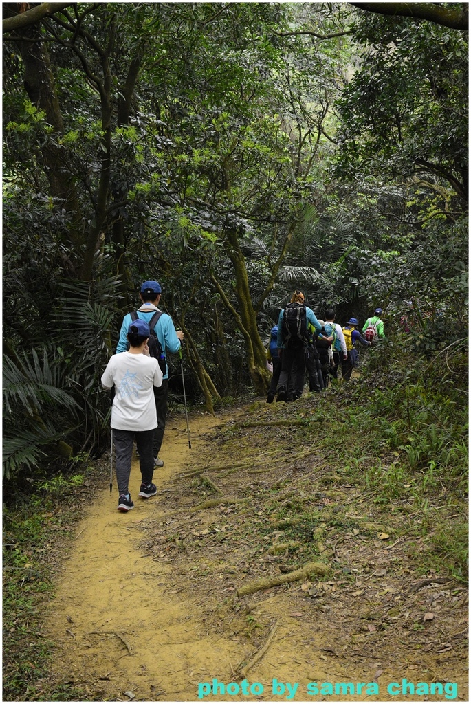 碧龍宮→鶯歌石步道→光明山稜線→忠義宮→光明山稜線→二坑步道