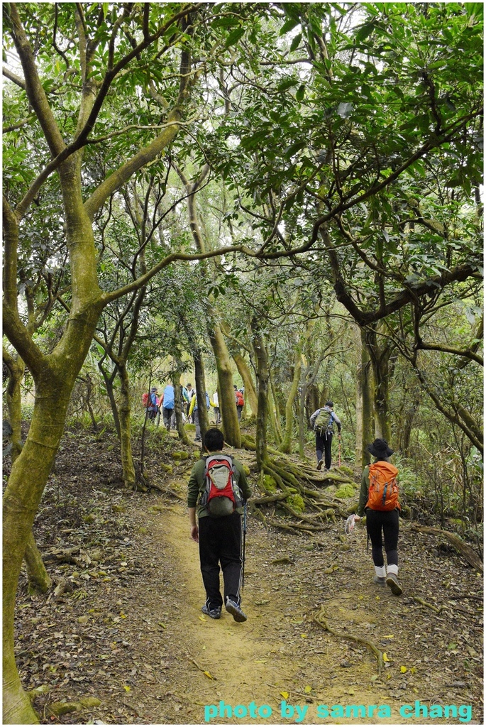 碧龍宮→鶯歌石步道→光明山稜線→忠義宮→光明山稜線→二坑步道