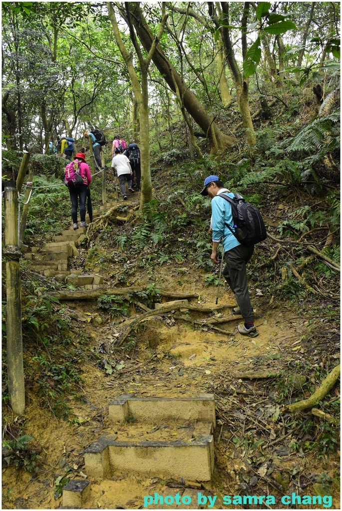 碧龍宮→鶯歌石步道→光明山稜線→忠義宮→光明山稜線→二坑步道