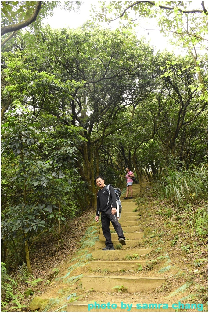 碧龍宮→鶯歌石步道→光明山稜線→忠義宮→光明山稜線→二坑步道