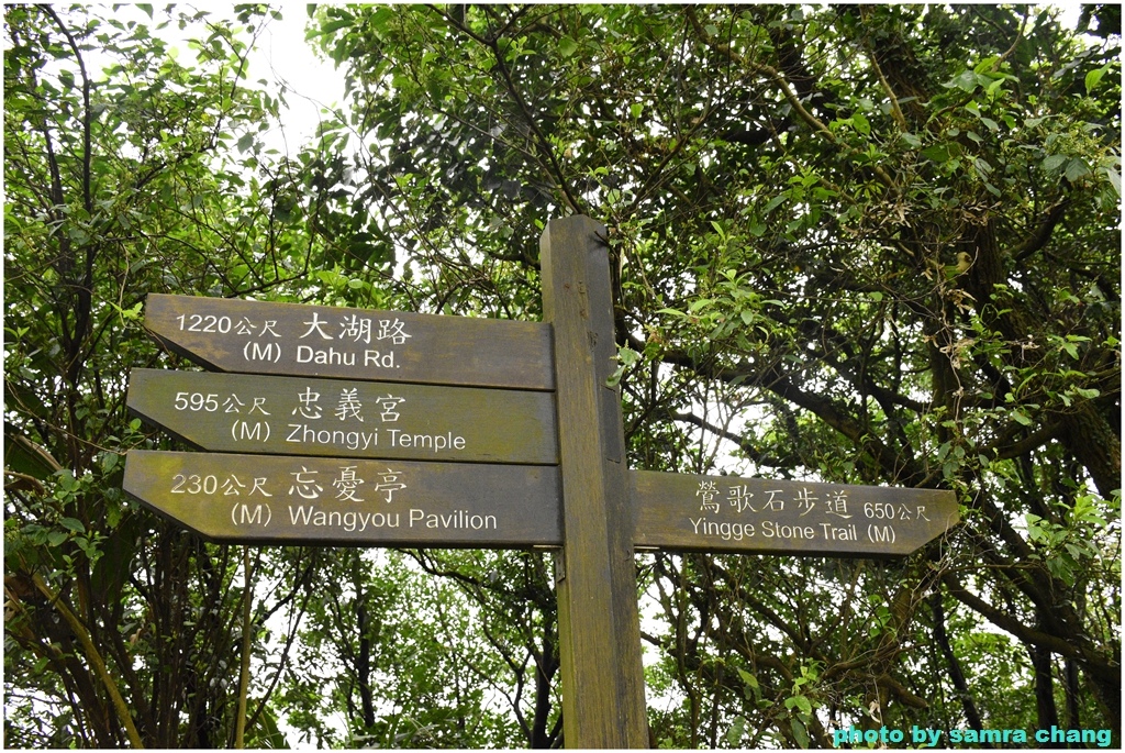 碧龍宮→鶯歌石步道→光明山稜線→忠義宮→光明山稜線→二坑步道