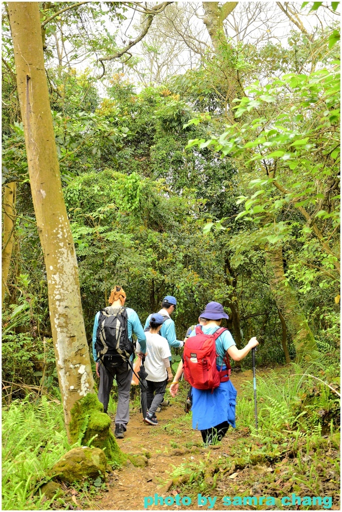 碧龍宮→鶯歌石步道→光明山稜線→忠義宮→光明山稜線→二坑步道