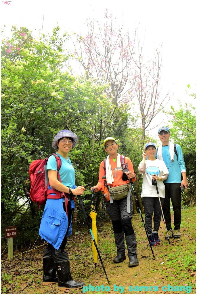 碧龍宮→鶯歌石步道→光明山稜線→忠義宮→光明山稜線→二坑步道