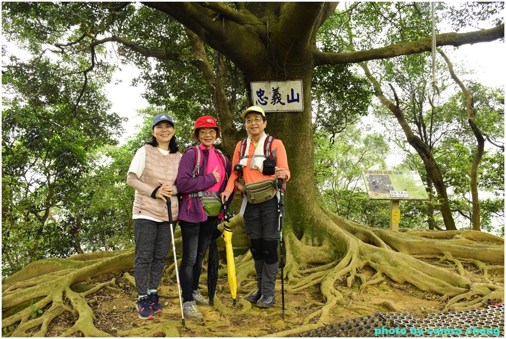 碧龍宮→鶯歌石步道→光明山稜線→忠義宮→光明山稜線→二坑步道