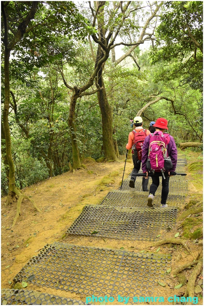 碧龍宮→鶯歌石步道→光明山稜線→忠義宮→光明山稜線→二坑步道