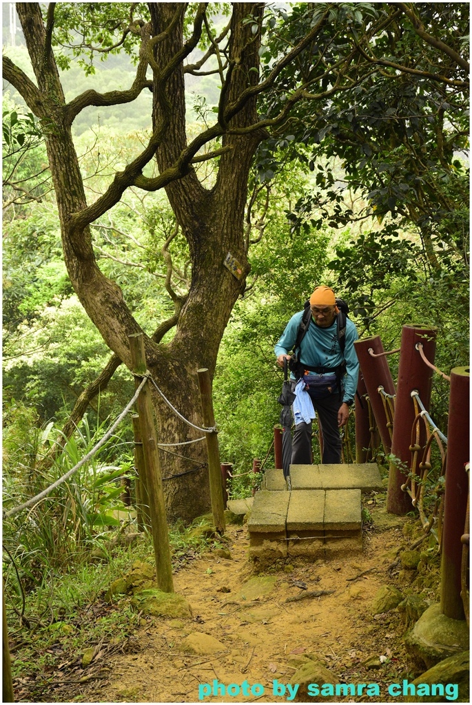 碧龍宮→鶯歌石步道→光明山稜線→忠義宮→光明山稜線→二坑步道