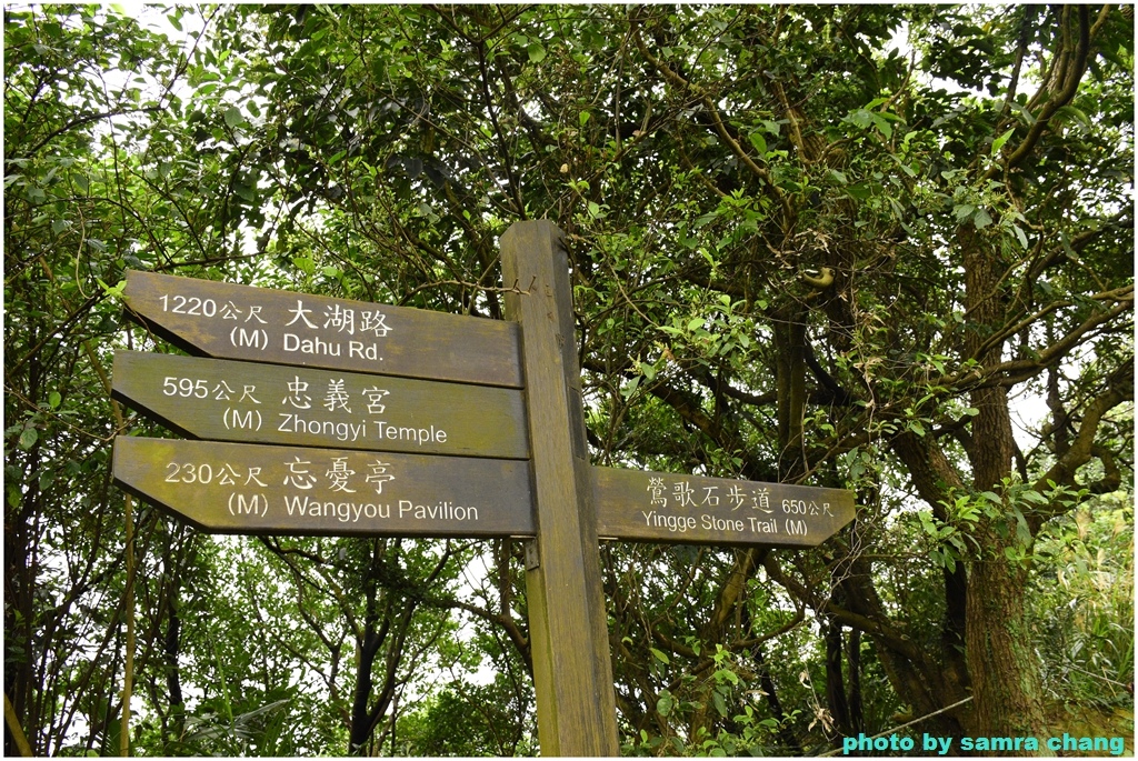 碧龍宮→鶯歌石步道→光明山稜線→忠義宮→光明山稜線→二坑步道