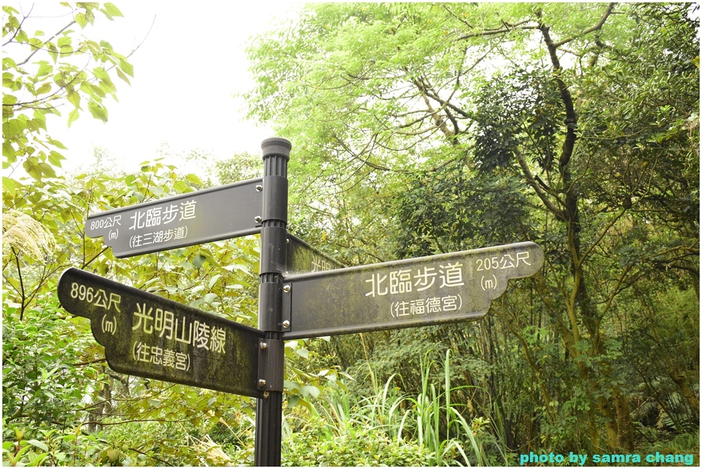 碧龍宮→鶯歌石步道→光明山稜線→忠義宮→光明山稜線→二坑步道