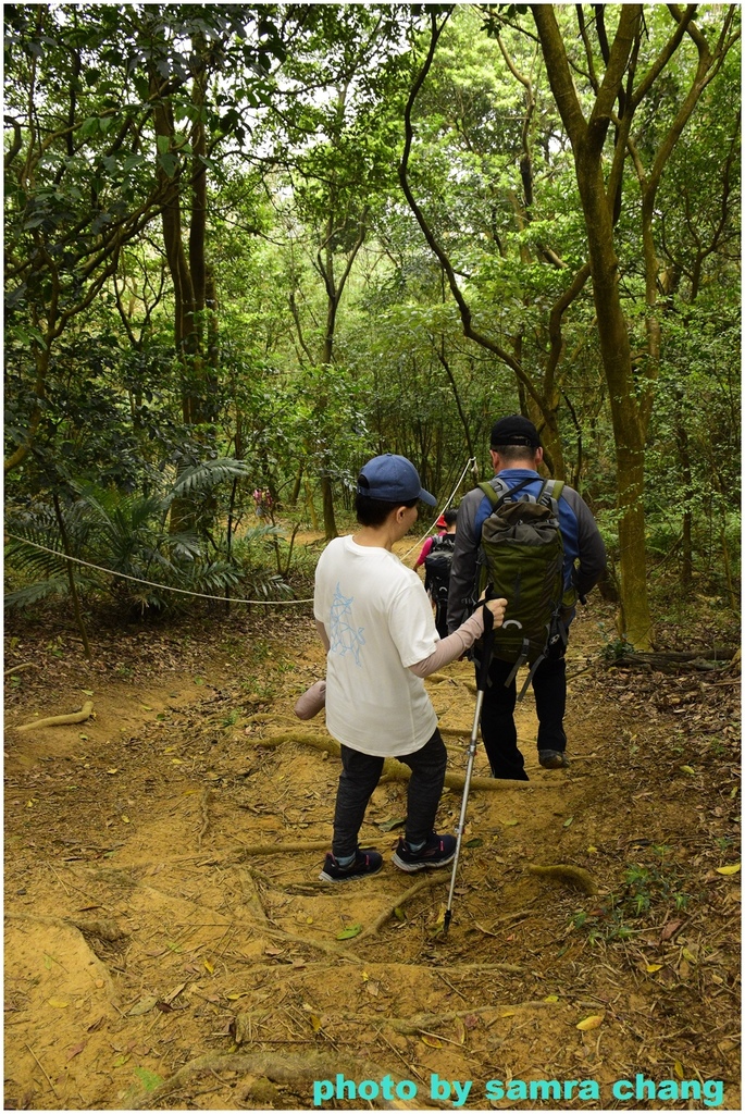 碧龍宮→鶯歌石步道→光明山稜線→忠義宮→光明山稜線→二坑步道