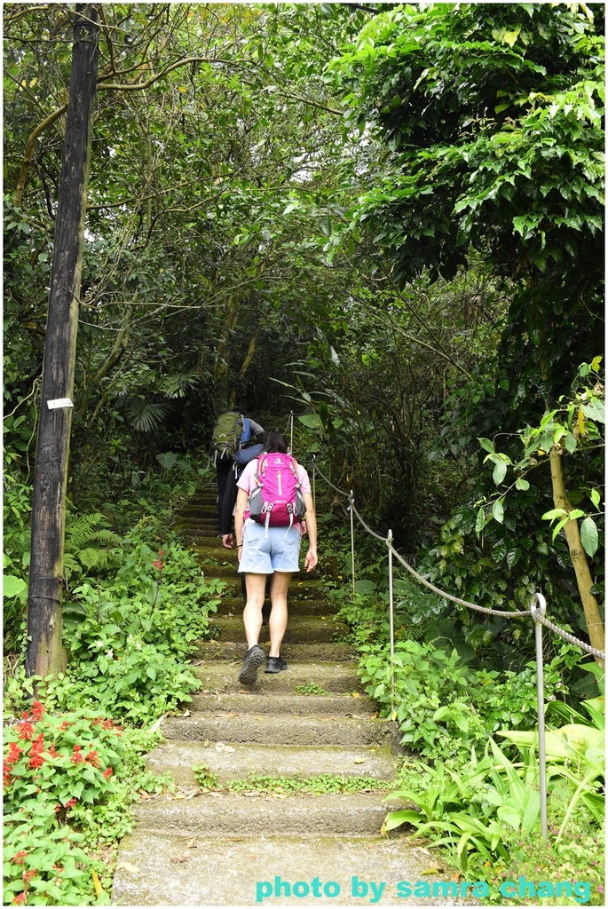 碧龍宮→鶯歌石步道→光明山稜線→忠義宮→光明山稜線→二坑步道