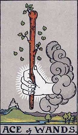 1 Ace of Wands.jpg