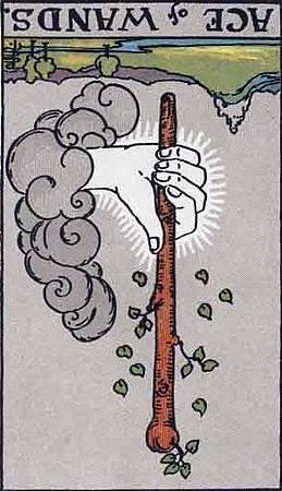 Rx 1 Ace of Wands.jpg
