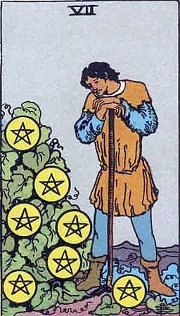 7 of Pentacles.jpg