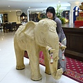 可愛的大象 505.JPG