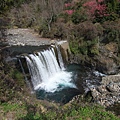 武陵農場&傳藝 (13).JPG