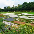 夏洛騰堡宮Schloss Charlottenburg 