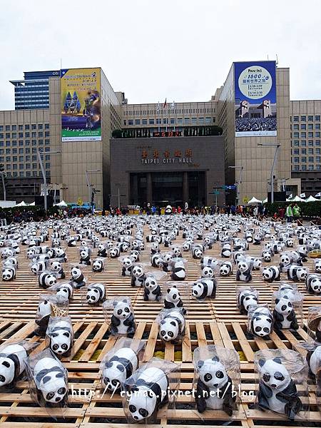 1600貓熊世界之旅—臺北
