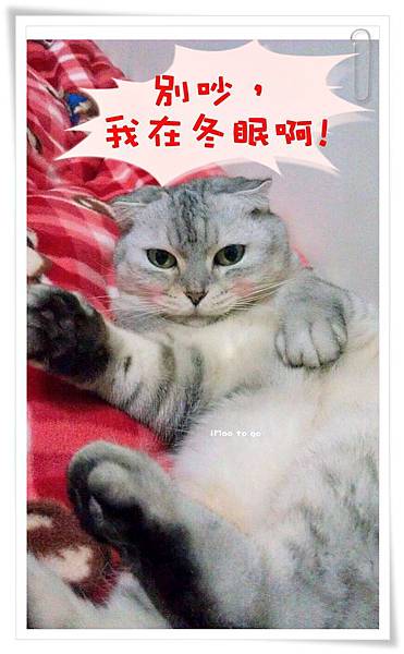 柚子冬眠 01.jpg 柚子冬眠 01.jpg