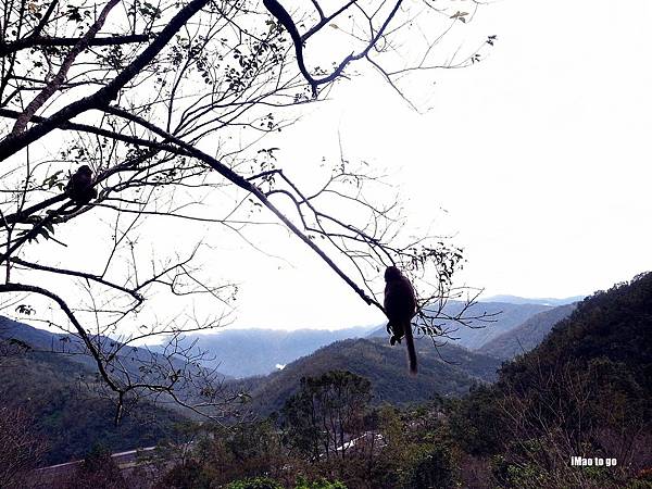 2015.11.24宜蘭3日小旅行 棲蘭山莊 25.JPG