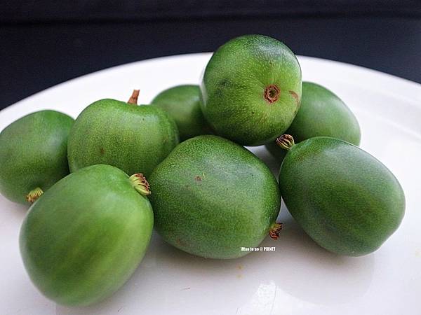 Kiwiberry 奇異果莓奇異果寶寶 Imao To Go 痞客邦