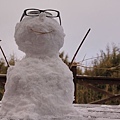 369雪人.jpg