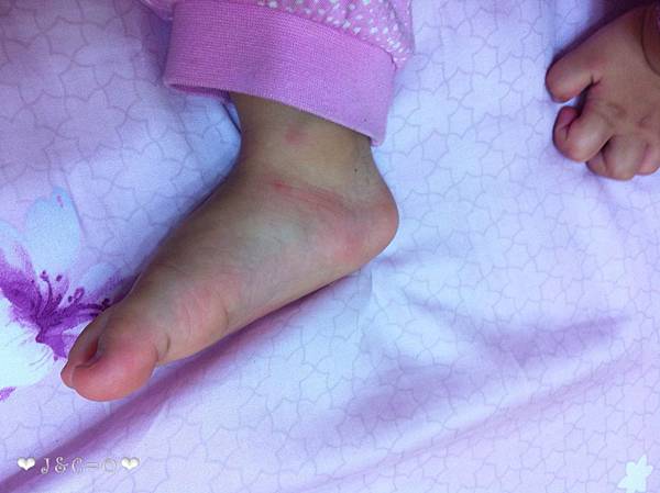 IMG_2667 IMG_2667