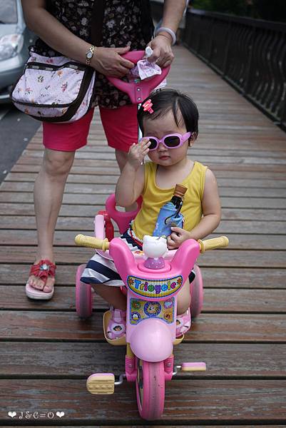 P1170074 P1170074