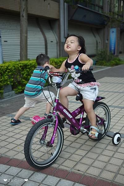P1140217 P1140217