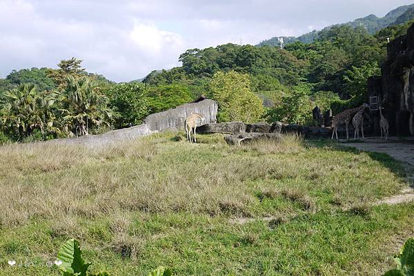 P1220057 P1220057