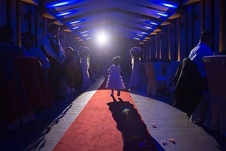 IMG_2815 IMG_2815