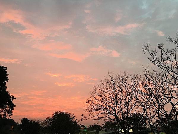 IMG_5208 IMG_5208