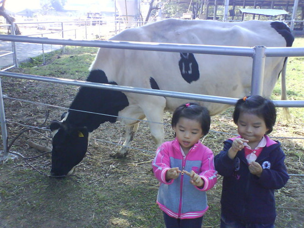 DSC00283.JPG DSC00283.JPG