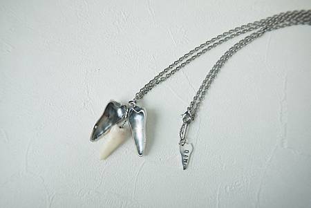 【蠟雕課程】辛苦工作的牙齒新家