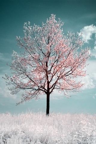 c9a31d0.jpg c9a31d0.jpg