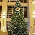 辦公大樓中庭的聖誕樹