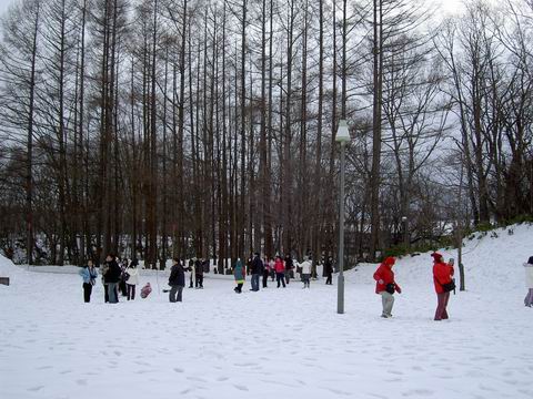 名水公園山林矗立