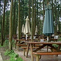 森林咖啡屋