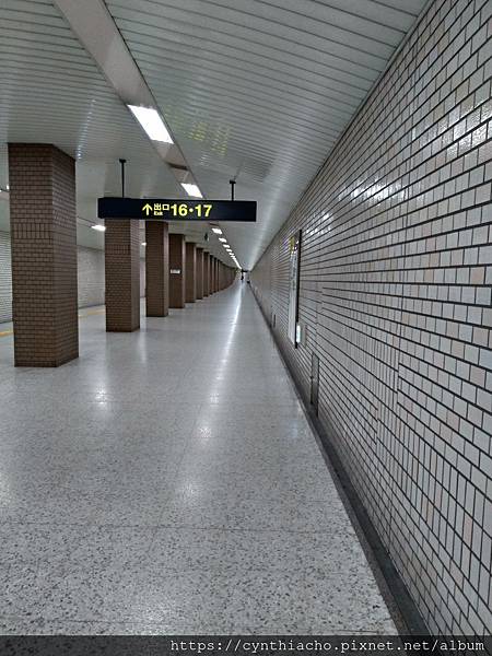 P_20191015_213235_vHDR_On_HP P_20191015_213235_vHDR_On_HP