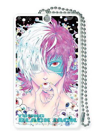 news_xlarge_ybjpasscase7 news_xlarge_ybjpasscase7