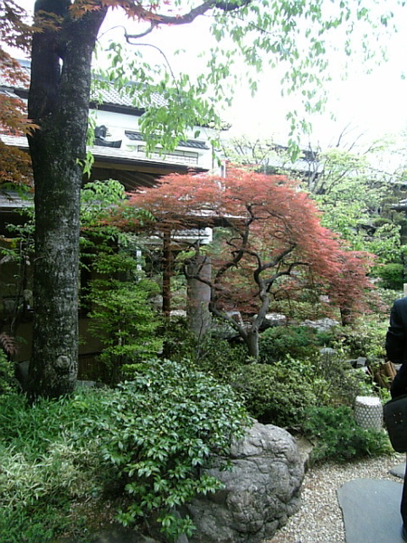 餐廳內的日式庭院造景